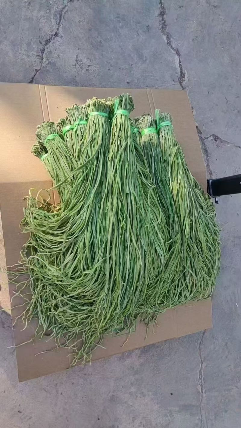 贡菜