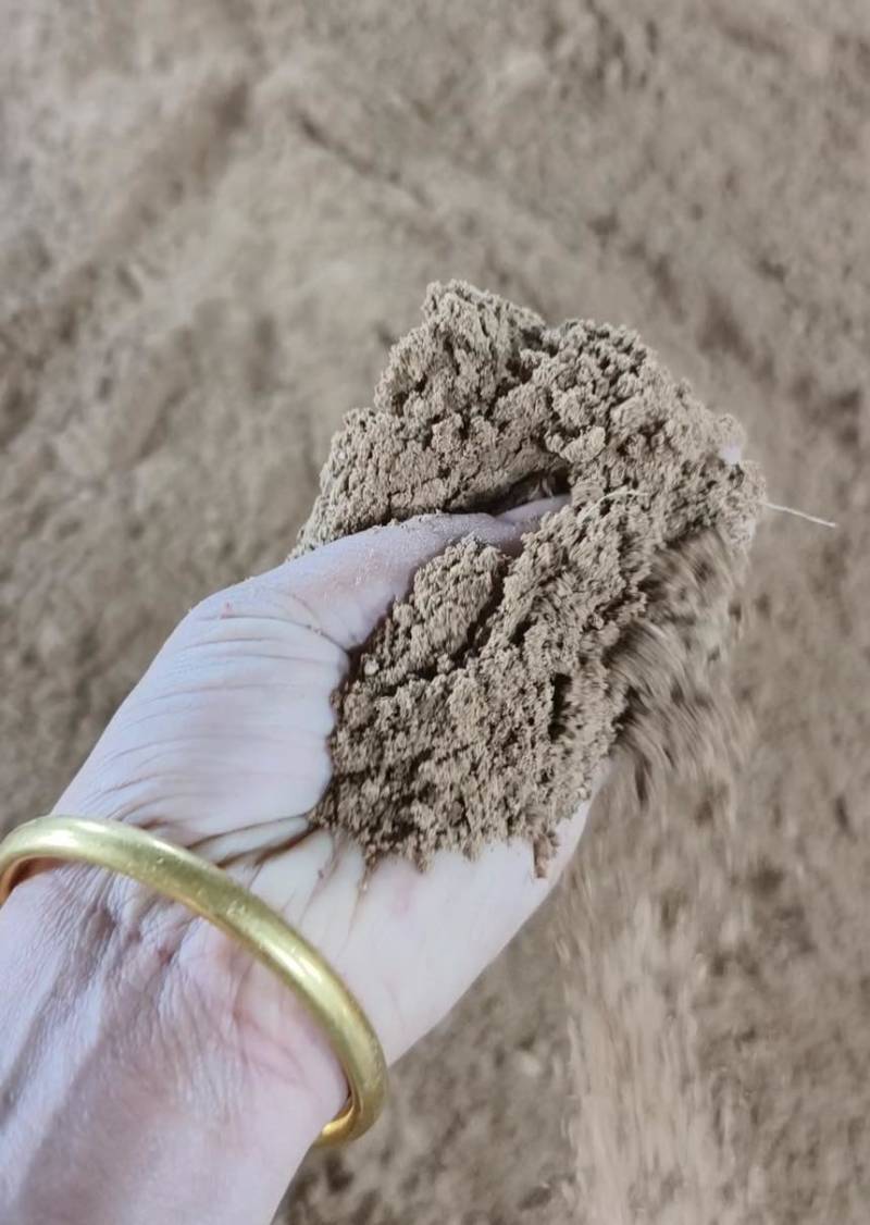 核桃粉饲料香气扑鼻高脂肪育肥快喂牛羊猪鸡鸭鹅都可以