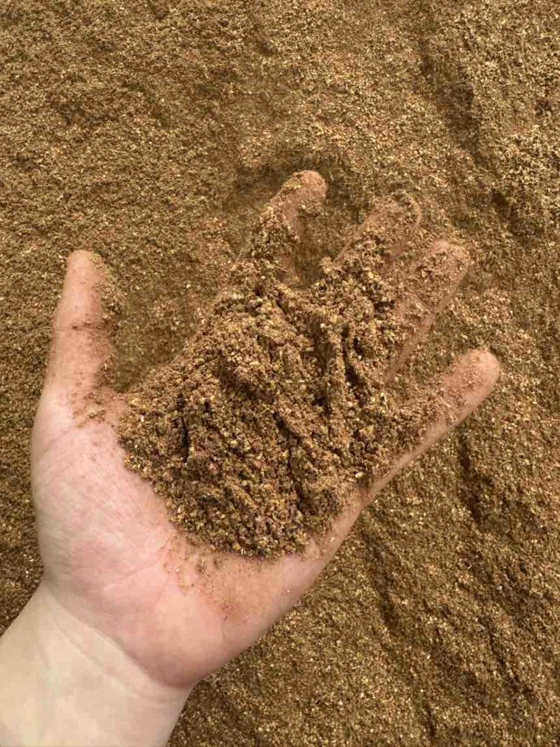 核桃粉饲料香气扑鼻高脂肪育肥快喂牛羊猪鸡鸭鹅都可以