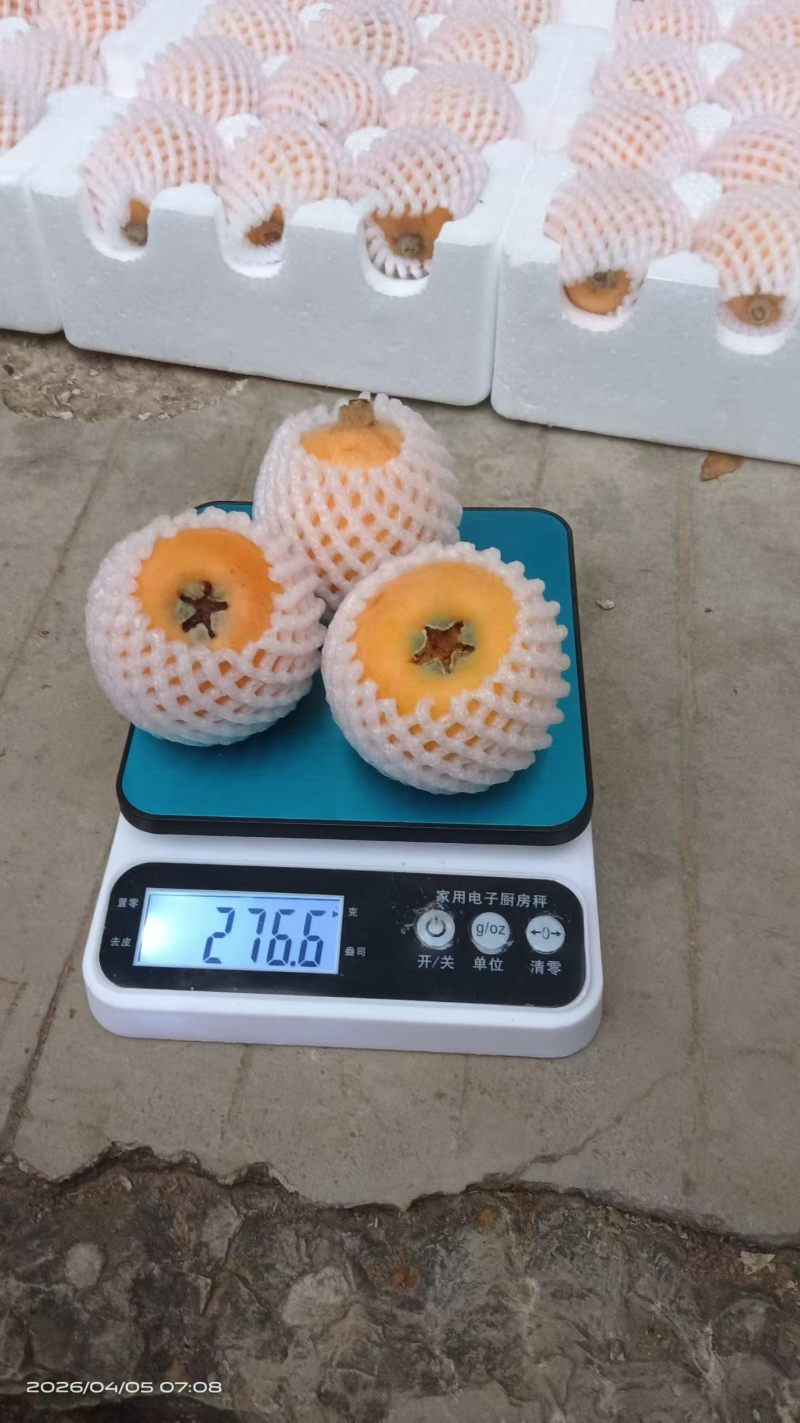 云南大五星枇杷