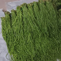云南贡菜干