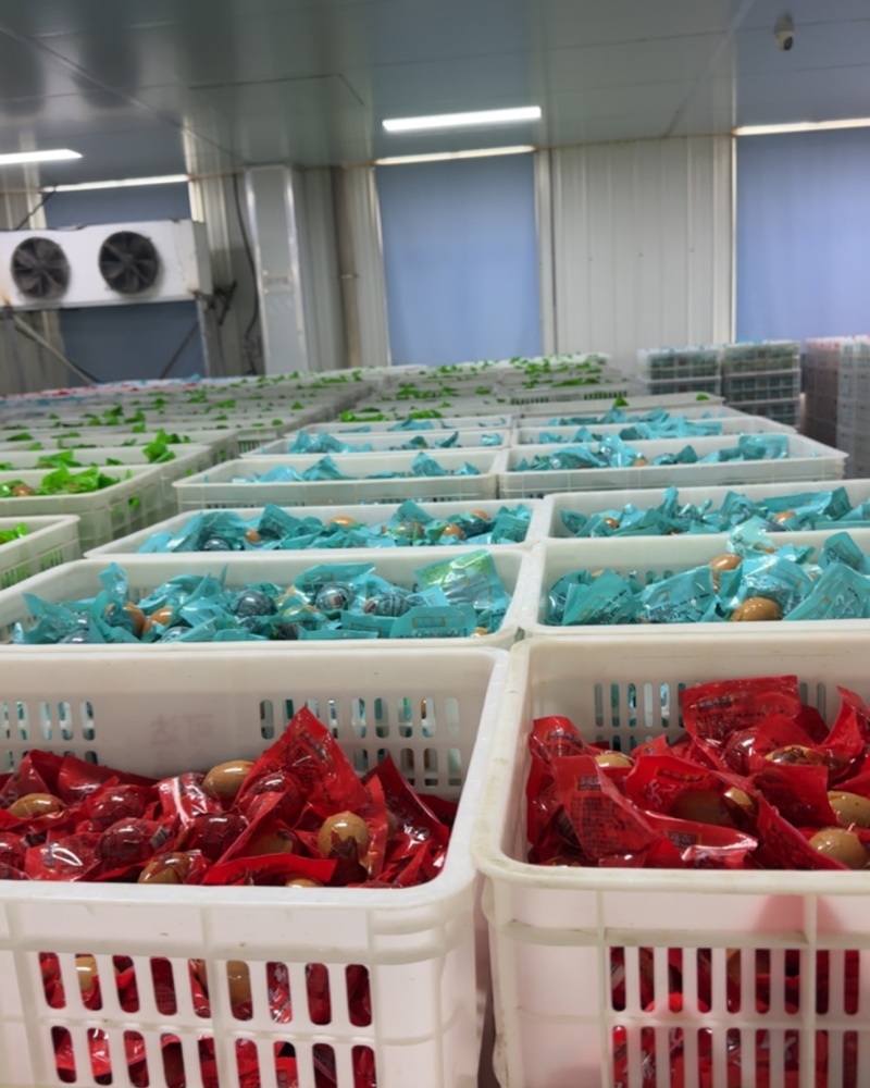 活珠子源头厂家