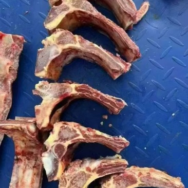 带肋牛脊骨，可以做手把肉