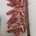 带肋牛脊骨，可以做手把肉