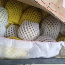 山西隰县正宗玉露香梨！二级