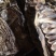 湖南祁阳本地烟笋，***、无硫熏，每一口都是大山的本味。