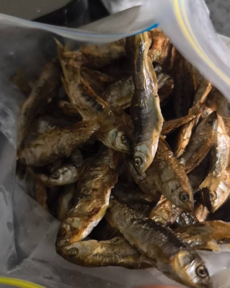 金寨铁冲河鱼