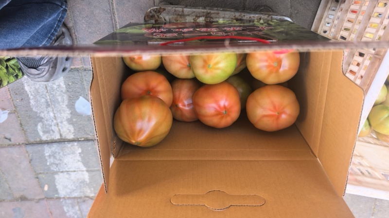 欢坨一线老味西红柿自家种植假一赔万