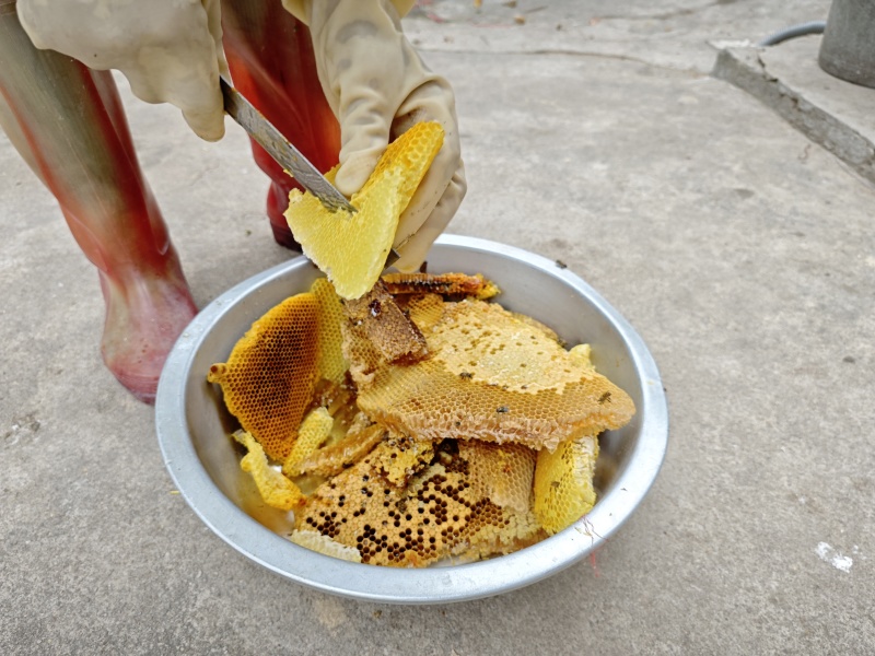 农家蜂蜜