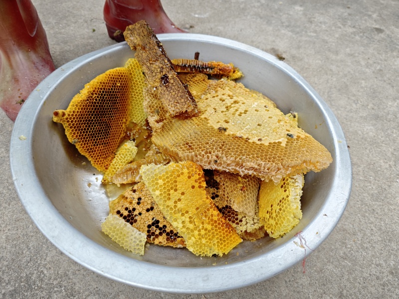 农家蜂蜜