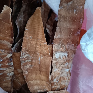 笋干