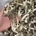 鹿茸菇，干净无杂正宗鹿茸菇干货菌菇无干燥剂炖煲汤炒菜批