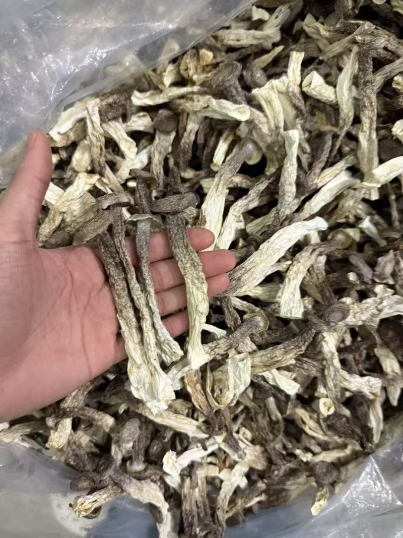 鹿茸菇，干净无杂正宗鹿茸菇干货菌菇无干燥剂炖煲汤炒菜批