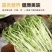 豌豆苗