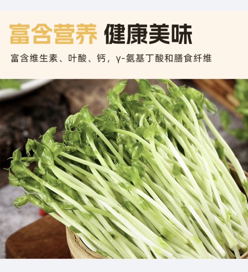 豌豆苗