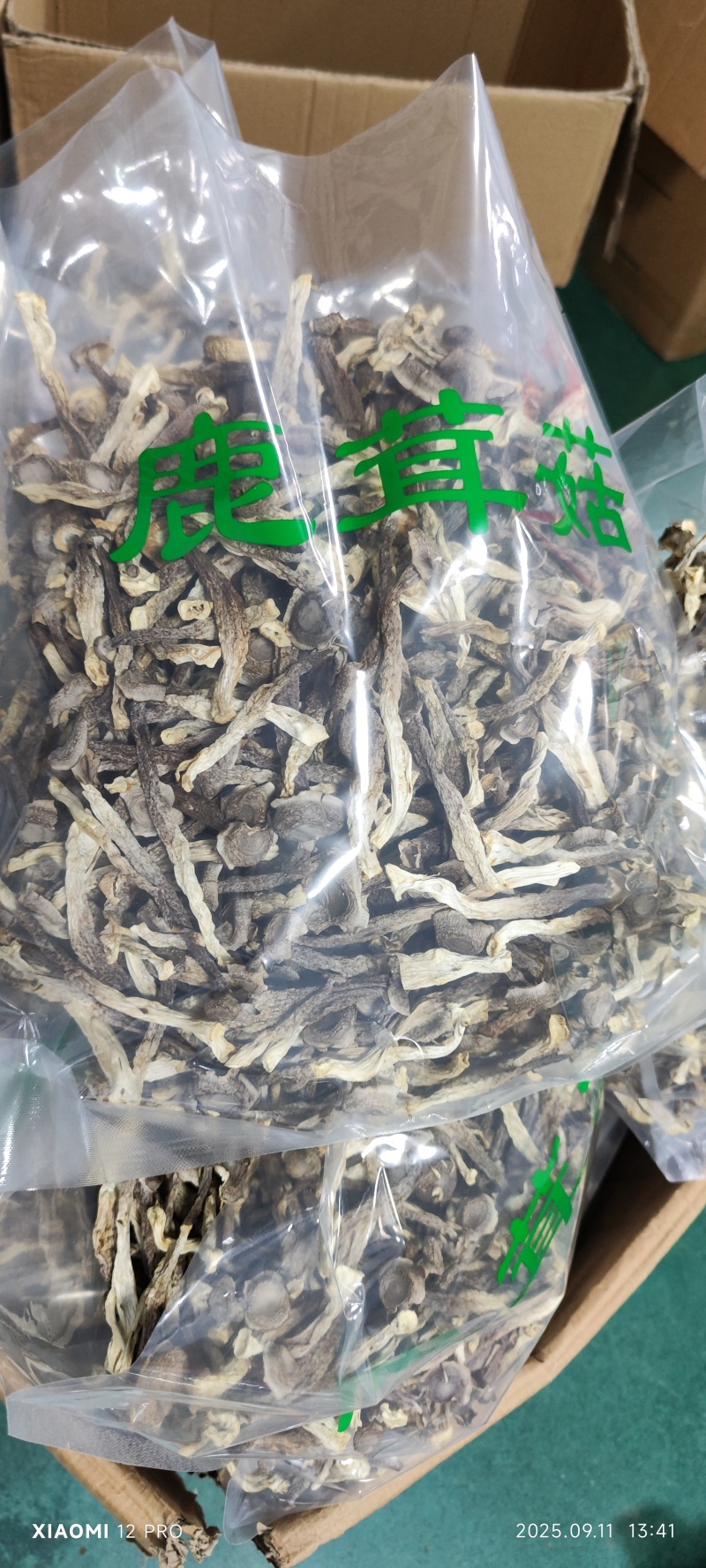 鹿茸菇干净无杂正宗鹿茸菇干货菌菇无干燥剂炖煲汤炒菜批发蔍茸