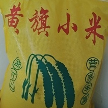 黄旗小米
