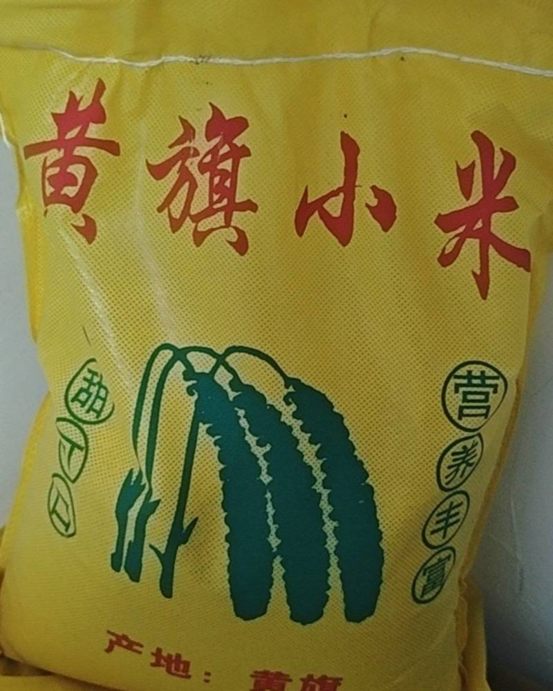黄旗小米