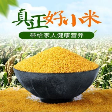 农家小米