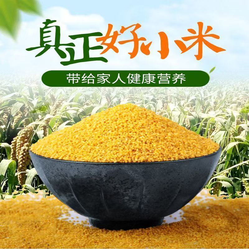 农家小米