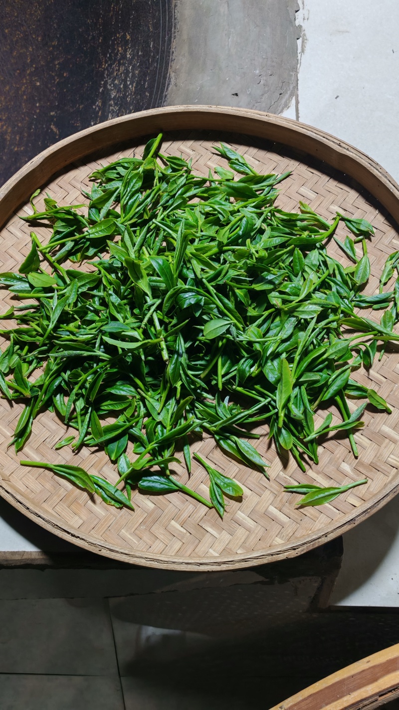 云南各类茶叶批发，土特产