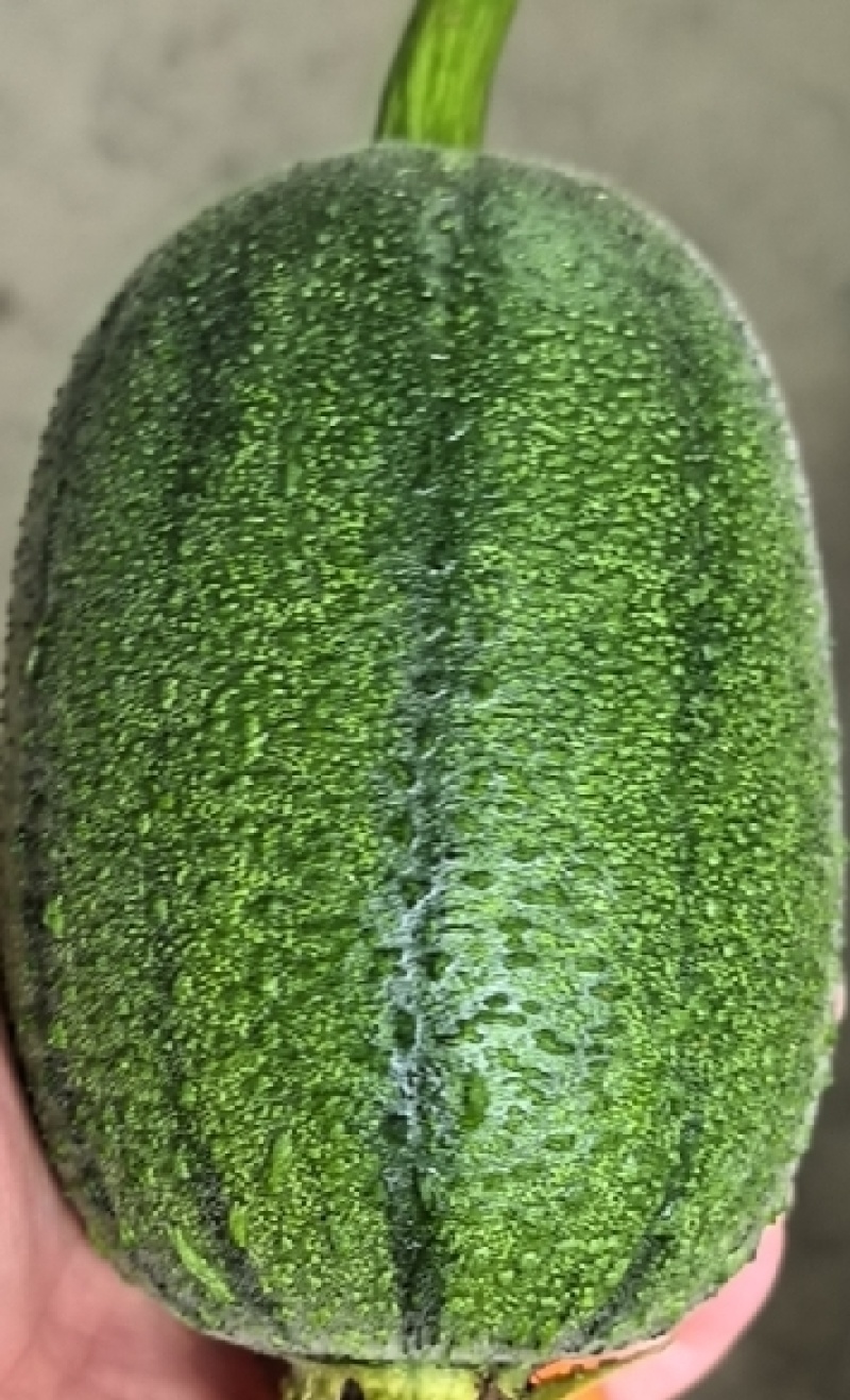 苹果丝瓜