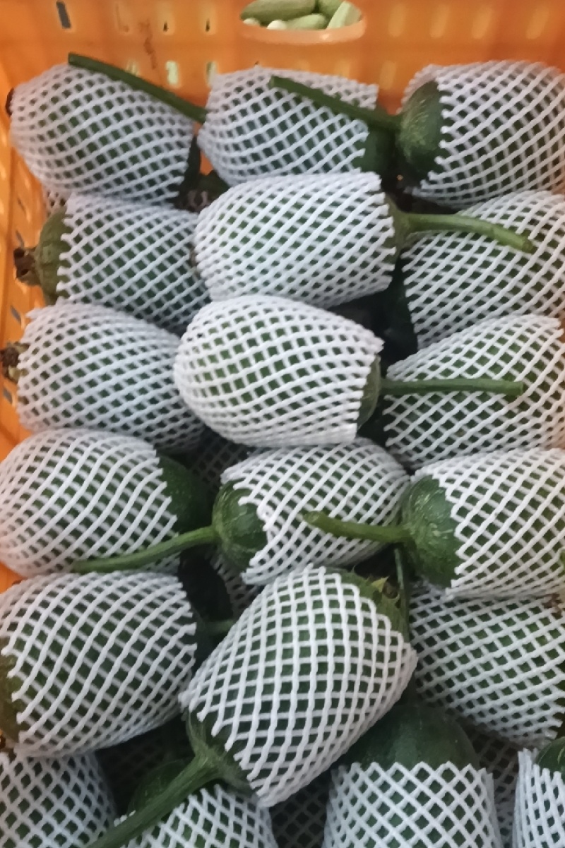 苹果丝瓜