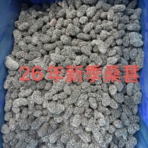 速冻桑葚