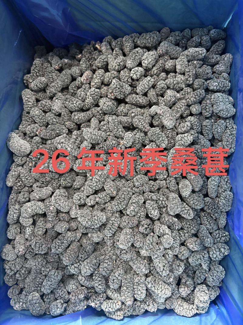 速冻桑葚
