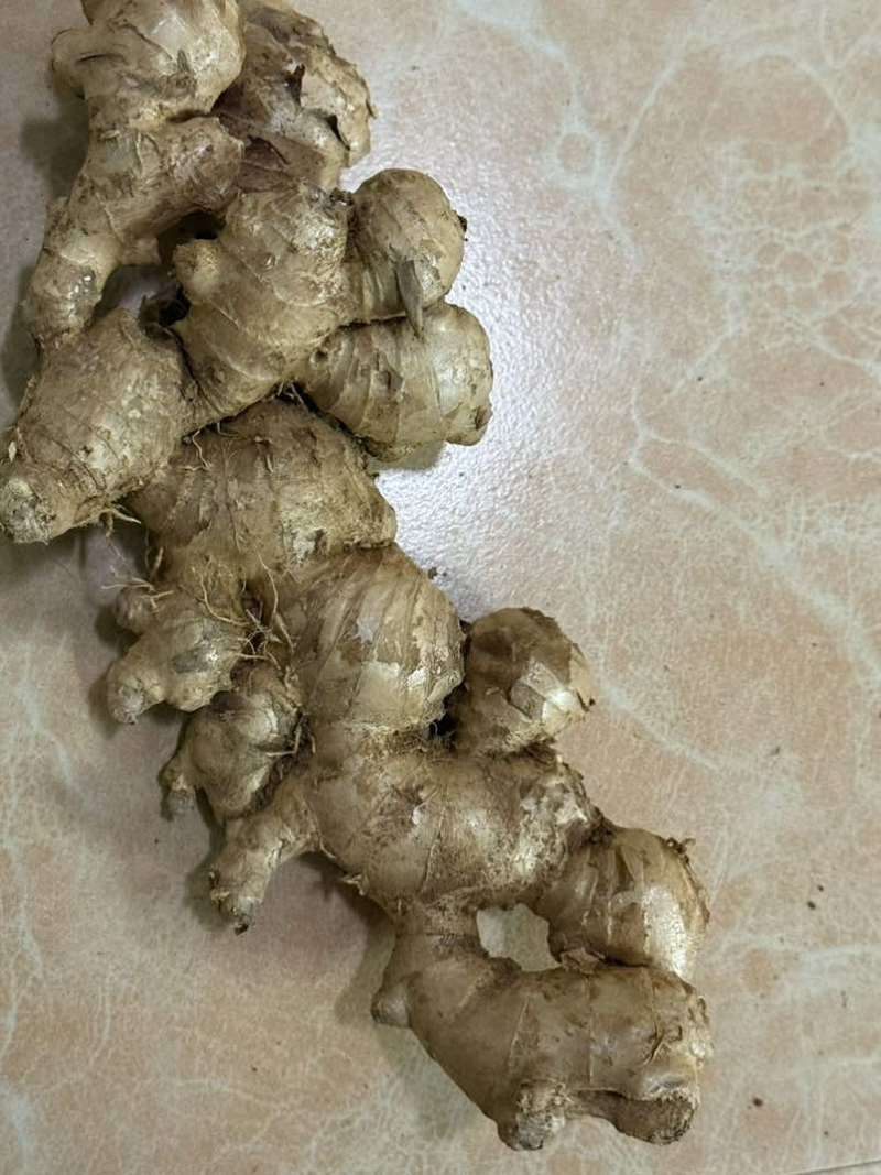 广西南宁横县小黄姜，本地姜，十万斤现货现发