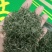 信阳毛尖茶叶