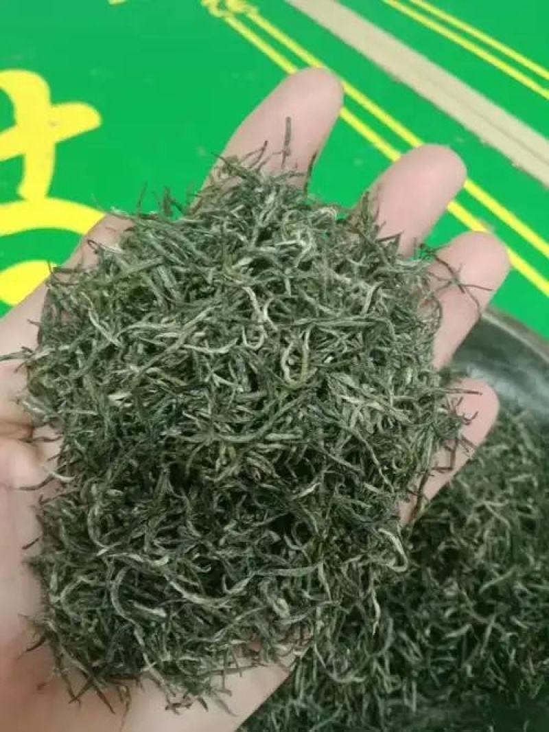 信阳毛尖茶叶