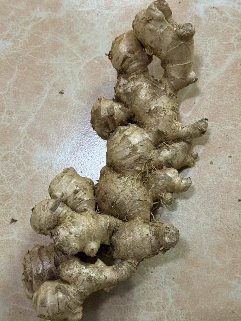 广西南宁生姜，小黄姜，十万斤现货现发