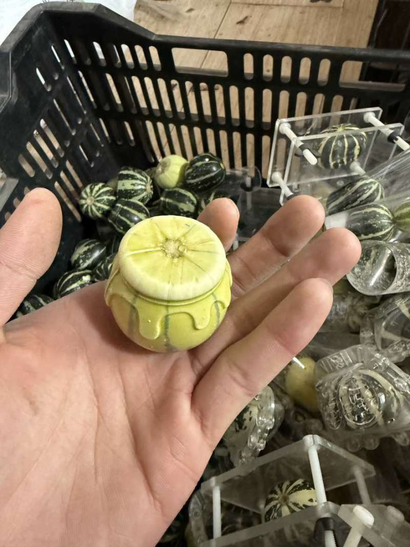 范制模具葫芦