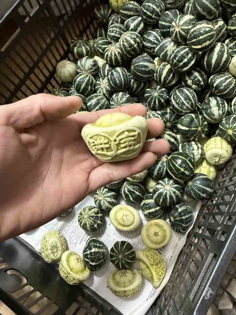 范制模具葫芦