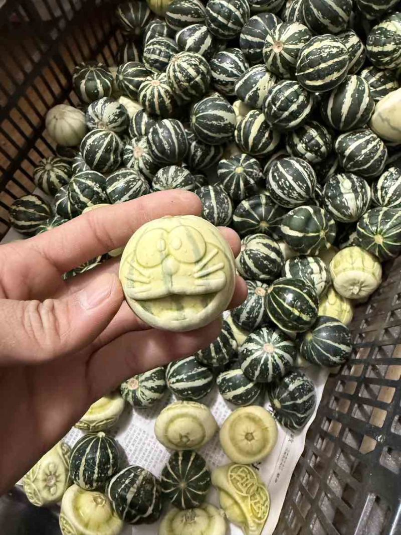范制模具葫芦