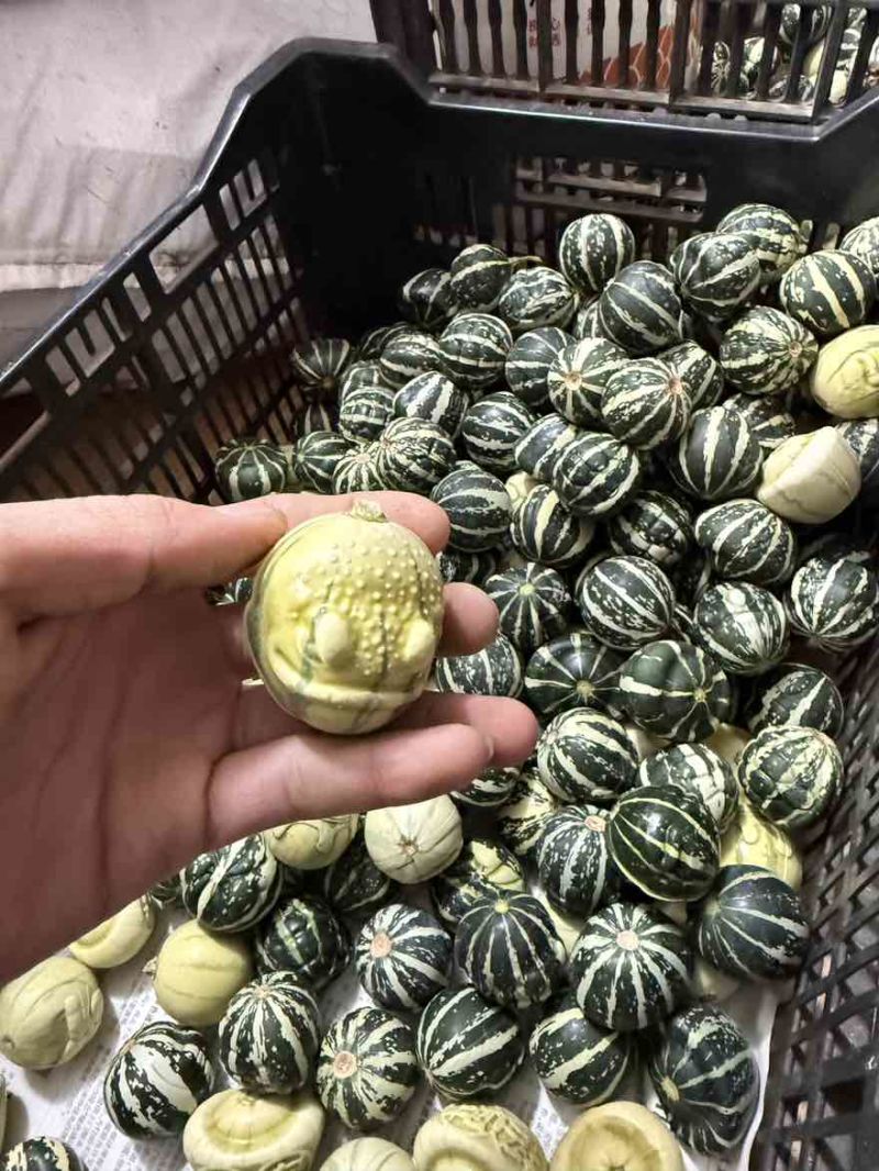 范制模具葫芦