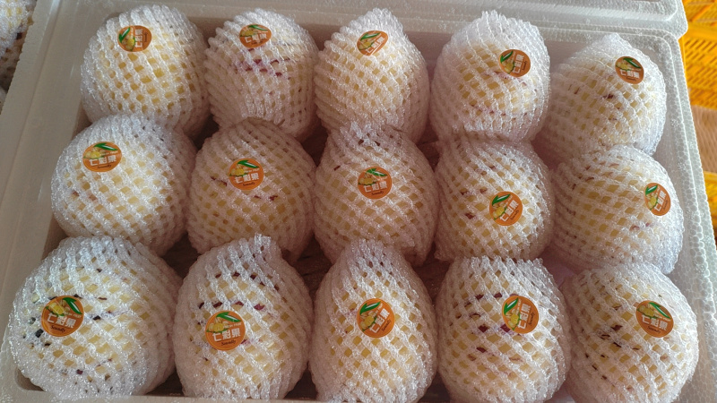 云南人参果