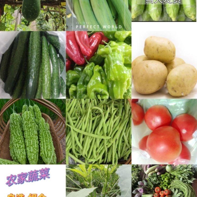 长豆角