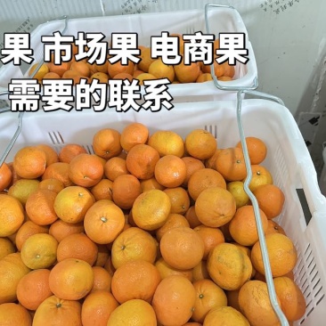 大量上去，欢迎实力老板砸单