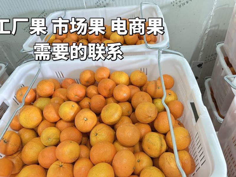 大量上去，欢迎实力老板砸单