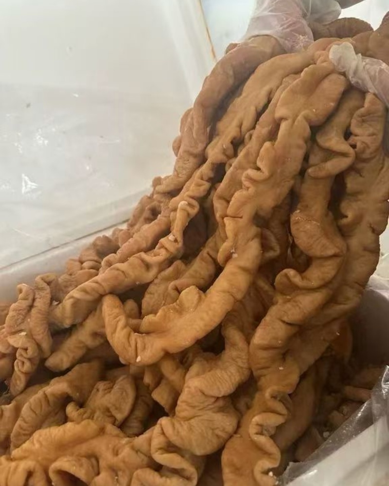 卤肥肠整根30斤/箱