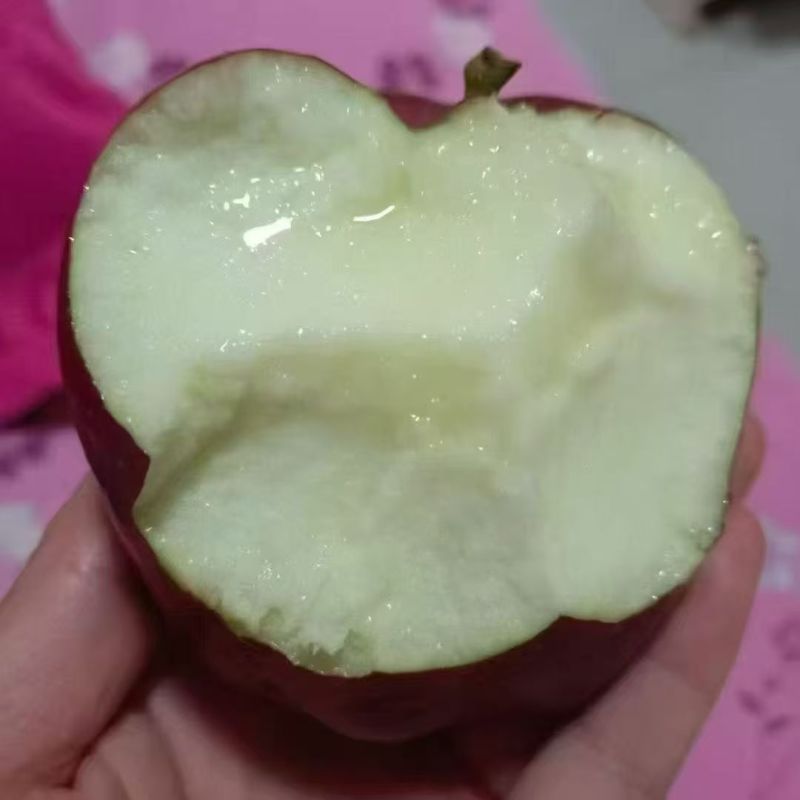 天水花牛苹果