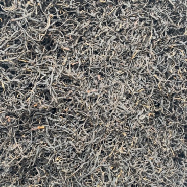 桐木关正山小种花香型
