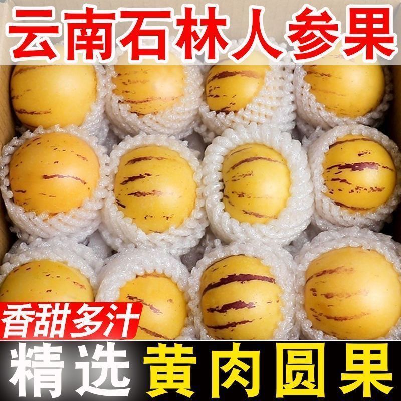 正宗石林人参果只做树熟