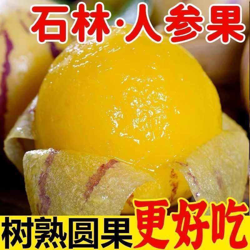 正宗石林人参果只做树熟