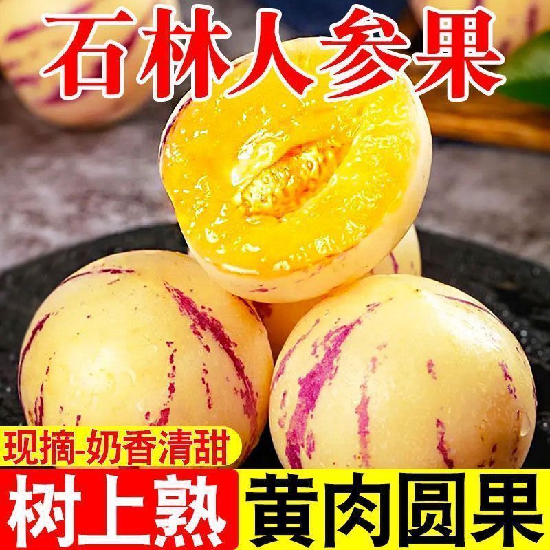 正宗石林人参果只做树熟