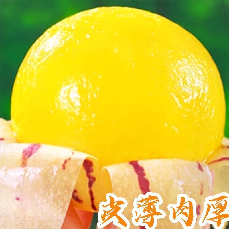 正宗石林人参果只做树熟