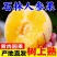 正宗石林人参果只做树熟