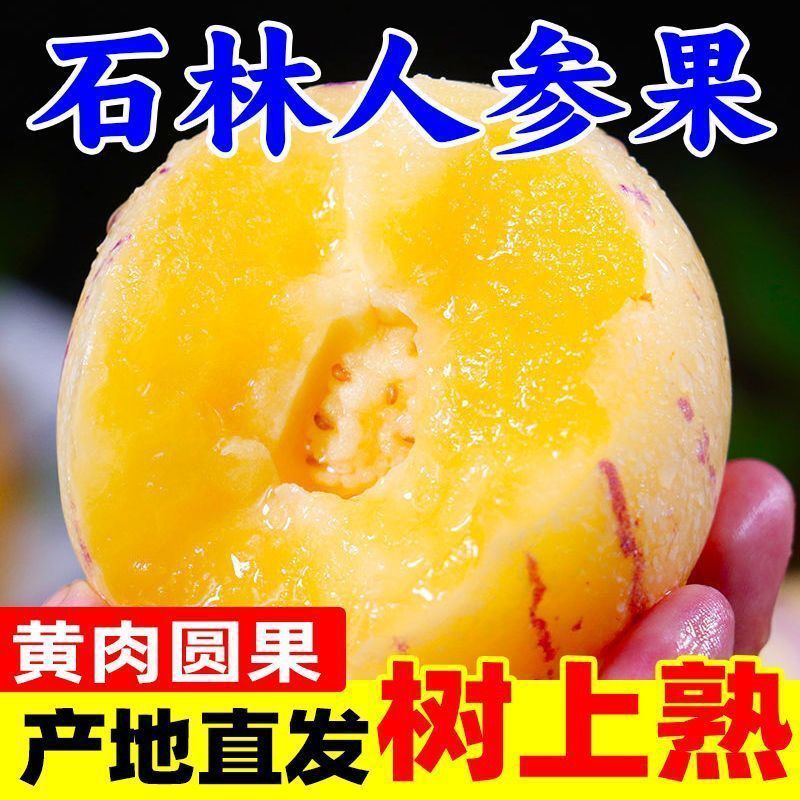 正宗石林人参果只做树熟